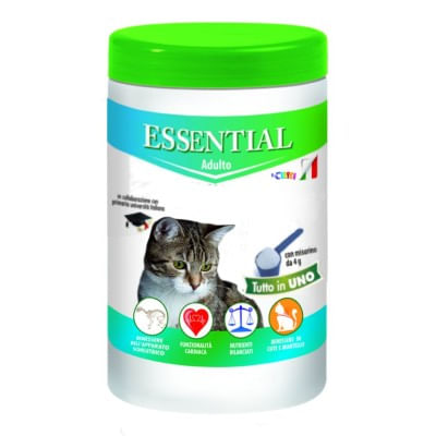 Essential Adult