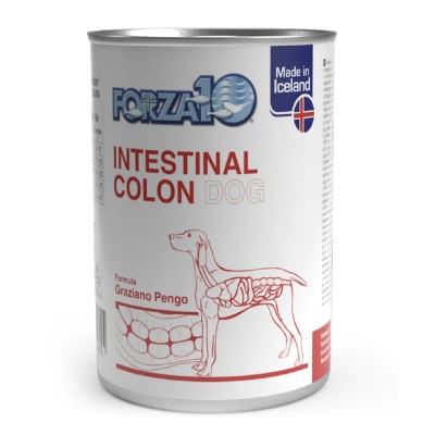 FORZA10 Cane Intestinal Colon