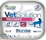 MONGE-VETSOLUTION-GATTO-RECOVERY-VASCHETTA