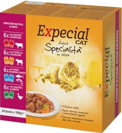 Expecial Cat Busta Multipack 24x100G