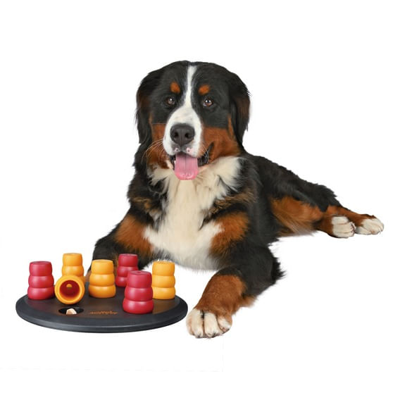 TRIXIE Gioco Strategico SOLITARIO per Cani LIVELLO 1 - Epoca Italpigeon Pet  Shop