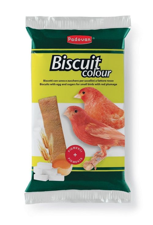 Biscuit Colour