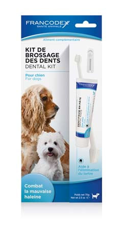 Cane Kit Pulizia Denti