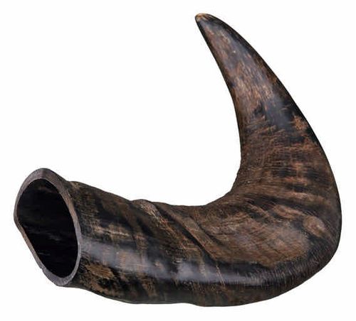 Corno di Bufalo da Masticare per Cane