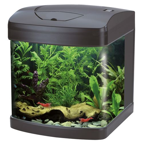 Acquario Xcube Black Led