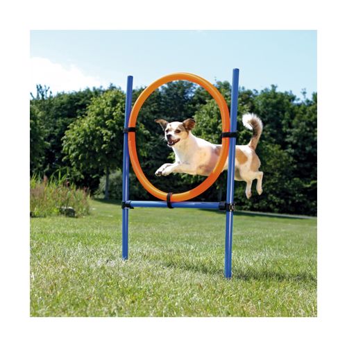 Gioco Anello Agility per Cane