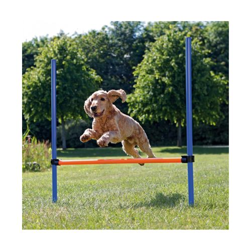 Gioco Ostacolo Agility per Cane