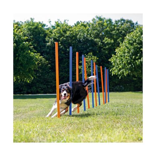 Trixie Gioco Slalom Agility per Cane
