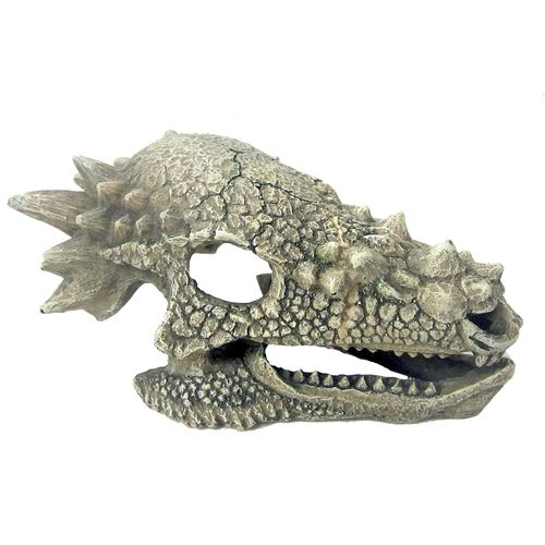Teschio di Drago