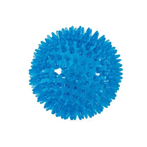 Cane Gioco Tpr Palla Nodin Pop