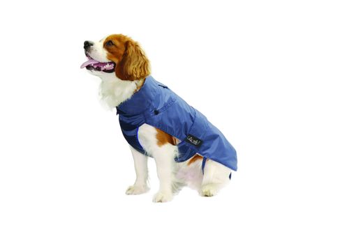 abbigliamento da esterno per cani con fasce di regolazione per cani di taglia media e grande Comodo maglione in pile per levrieri cappotto invernale con fodera in caldo pile