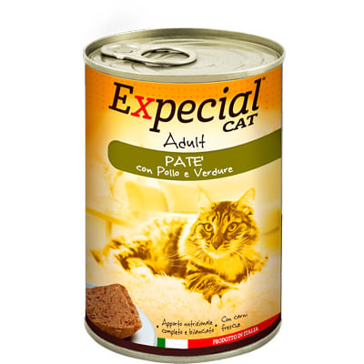Expecial Cat Lattina 400G