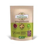 In-The-Nature-Superfood-Snack-Agnello