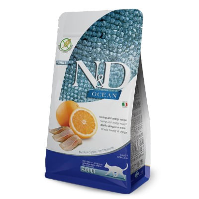 N-d-ocean-cat-adult-aringa-arancia