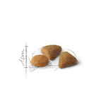 royal-canin-savour-exigent