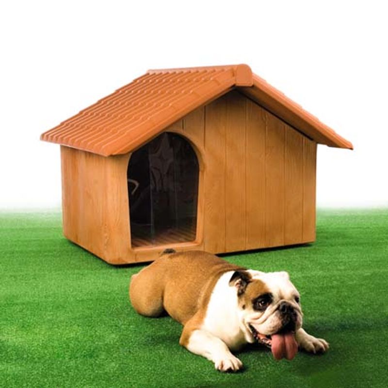 CucciapercaniElbiWoodyMidi