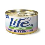 Life-Cat-Kitten-gattino