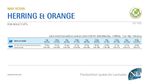 n-d-ocean-gatto-adult-aringa-e-arancia