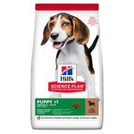 Hills-puppy-medium-agnello-riso