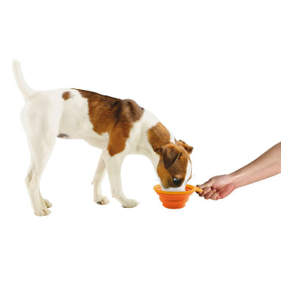 Ciotole Cani Pieghevoli Contenitore Portatile Alimenti Cani Ciotola Animali  In Silicone Ciotole Pieghevoli Cuccioli Ciotole Animali Domestici Con  Fibbia Da Arrampicata Da 0,81 €
