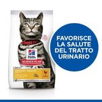 hills-gatto-adult-urinary-health-pollo-claim