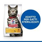 hills-gatto-adult-urinary-health-pollo-claim2