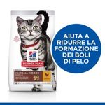 hills-gatto-adult-hairball-indoor-pollo-claims