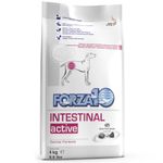 forza10-intestinal-active