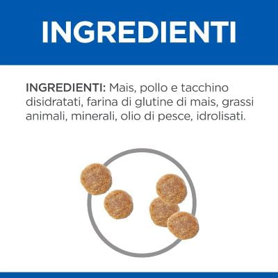 hills-gatto-adult-urinary-health-pollo-ingredienti