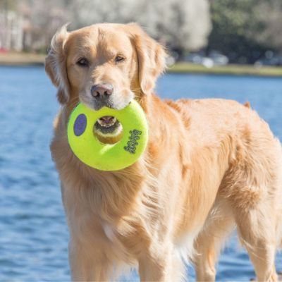 airdog-squeaker-donut1