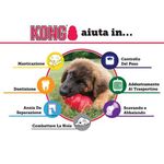 kong-classic3