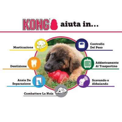 kong-classic3