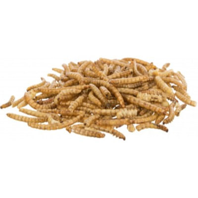CAMOLE-FARINA-ESSICATE-RODITORI-70G