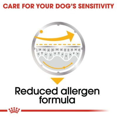Royal-Cane-Busta-Derma