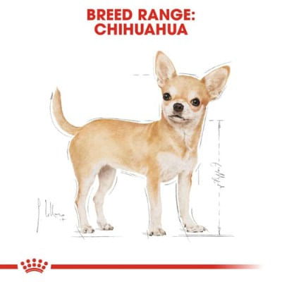 Royal Canin Chihuahua umido