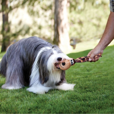 kong-wubba-floppy-ears-cane