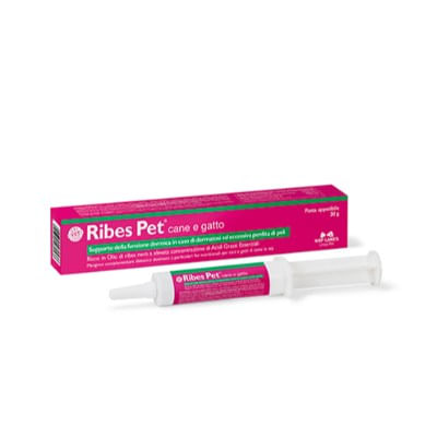 Ribes-Pasta--1-