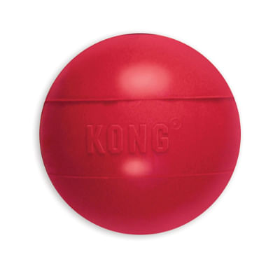 kong-cane-ball-palla