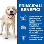 hills-science-plan-cane-adult-light-large-pollo-benefici