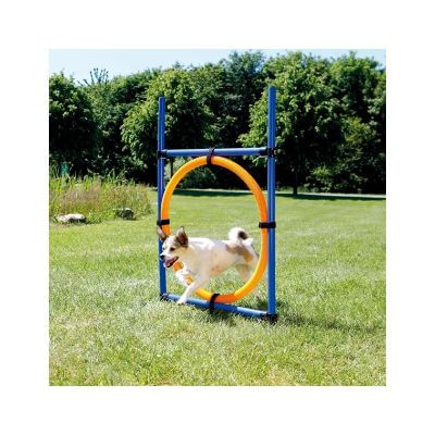 trixie-gioco-cane-anello-agility