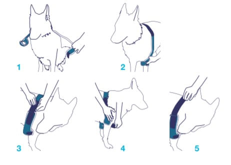 balto-soft-gomito-doppio-indossato