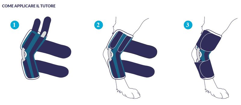 balto-tutore-hock-garretto-applicazione