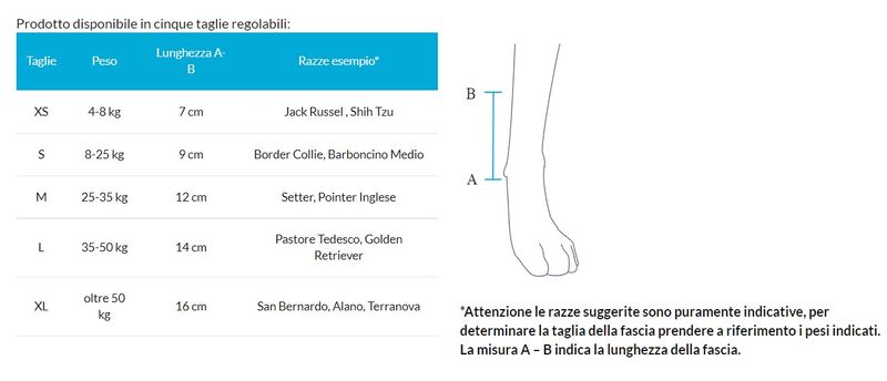 balto-tutore-joint-carpo-razze