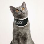 balto-tutore-neck-black-antileccamento-gatto