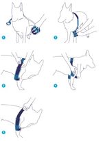 balto-tutore-gomito-soft-istruzioni