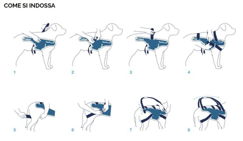 balto-tutore-body-lift-istruzioni