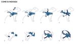 balto-tutore-body-lift-istruzioni