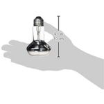 repty-basking-spot-dimensioni--1-