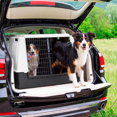 pet-around-you-trasportino-auto-caddy-xxl-cani