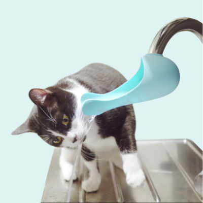 pet-around-you-beverino-silicone-gurgle-acquamarino-gatto-dettaglio